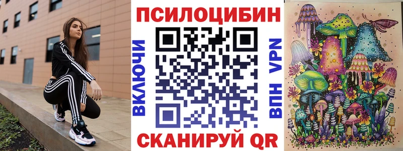 Купить  Шумиха  Псилоцибиновые грибы прущие грибы 